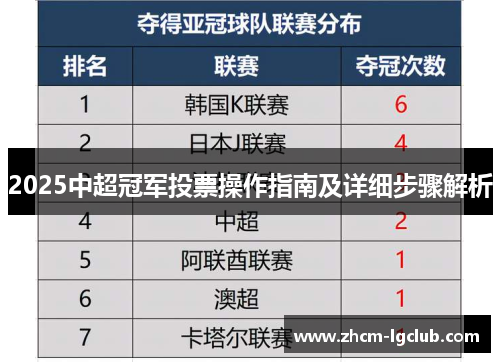 2025中超冠军投票操作指南及详细步骤解析