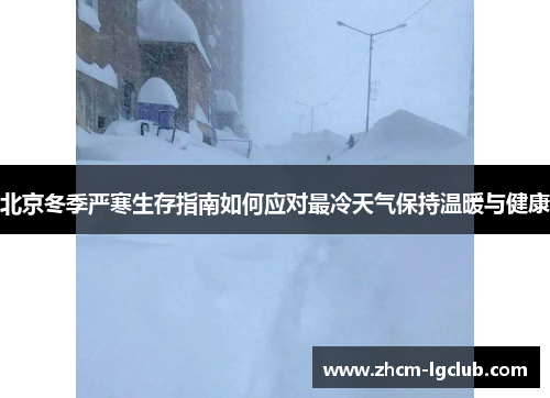 北京冬季严寒生存指南如何应对最冷天气保持温暖与健康