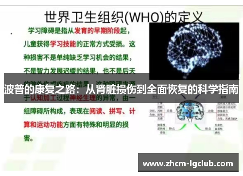波普的康复之路：从肾脏损伤到全面恢复的科学指南