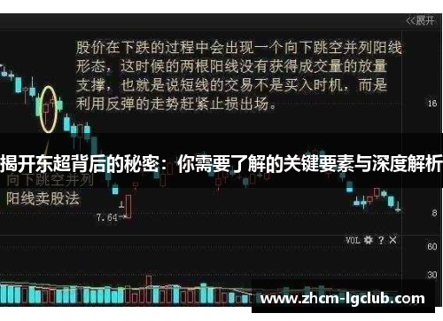 揭开东超背后的秘密：你需要了解的关键要素与深度解析