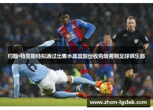 约翰·特克斯特拟通过出售水晶宫股份收购埃弗顿足球俱乐部